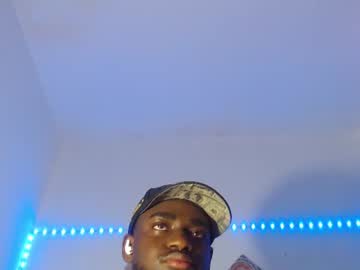 _black_stallion