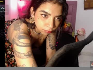 annie_camom