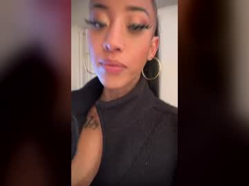 petmykittycatlive354449